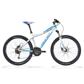 white/blue/purble