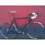 Xenon Custom